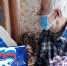 ИЗМЕНИ ОДИН ДЕНЬ - Газета Сельские вести