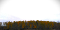 Осенняя памятка - Лежневский район